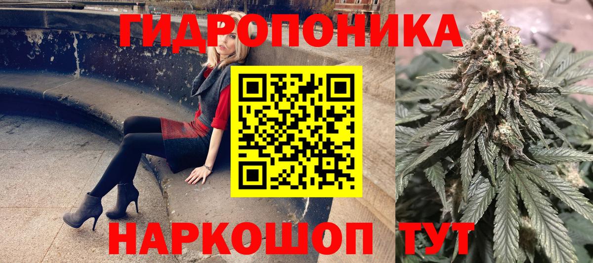 Конопля Amnesia  Бошки Шишки Bruce Banner  Бошки марихуана White Widow  Котовск  Вход с VPN 